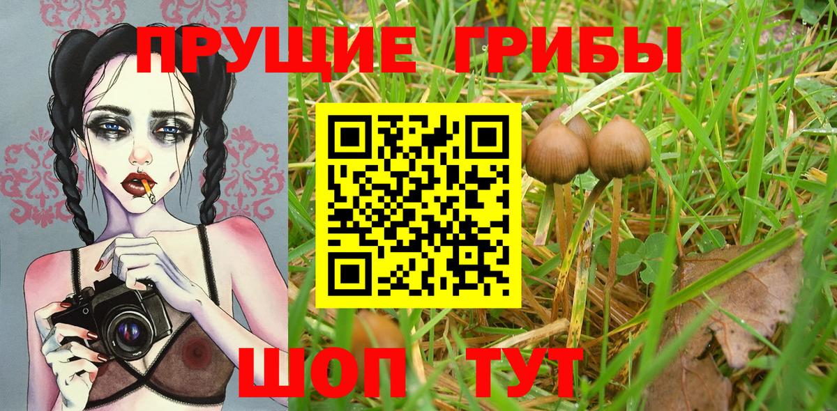 Галлюциногенные грибы MAGIC MUSHROOMS  Вход с VPN  Магадан 